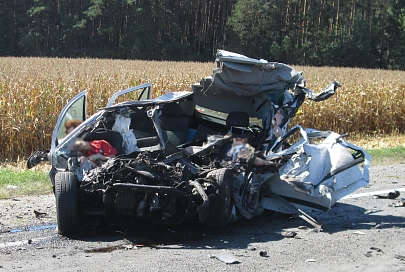 Возбуждено уголовное дело по факту страшной аварии в Гомельском районе 